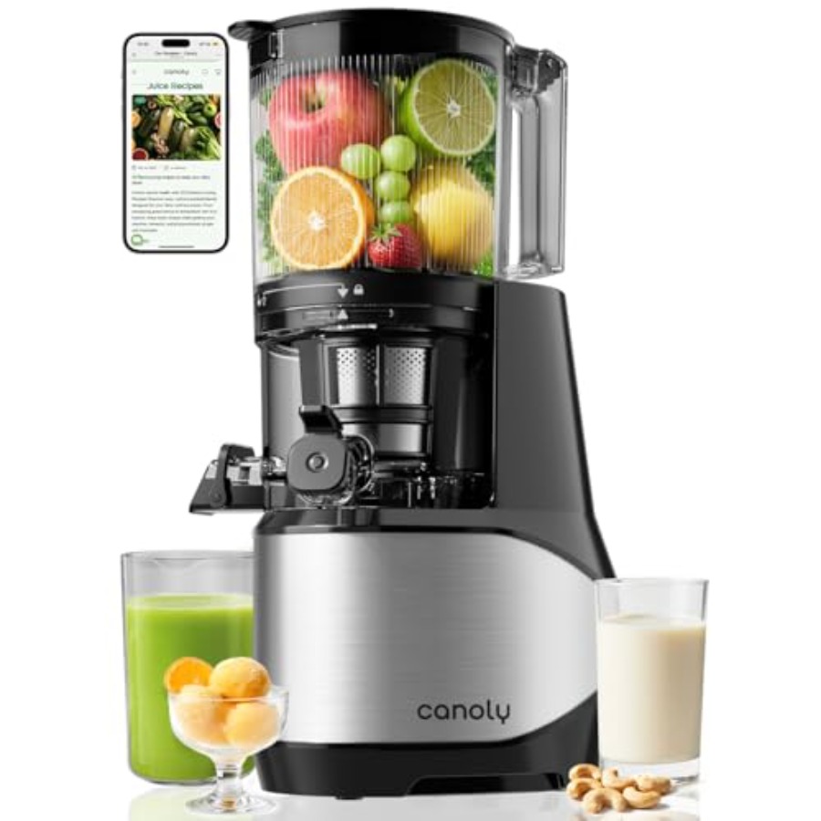 Cold Press Juicer - Cold Press Juicer for Home Use,