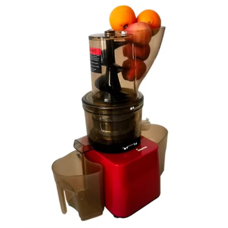 Stainless Steel Fruit Vegetabl - Cold Press Juicer recensione e prezzo