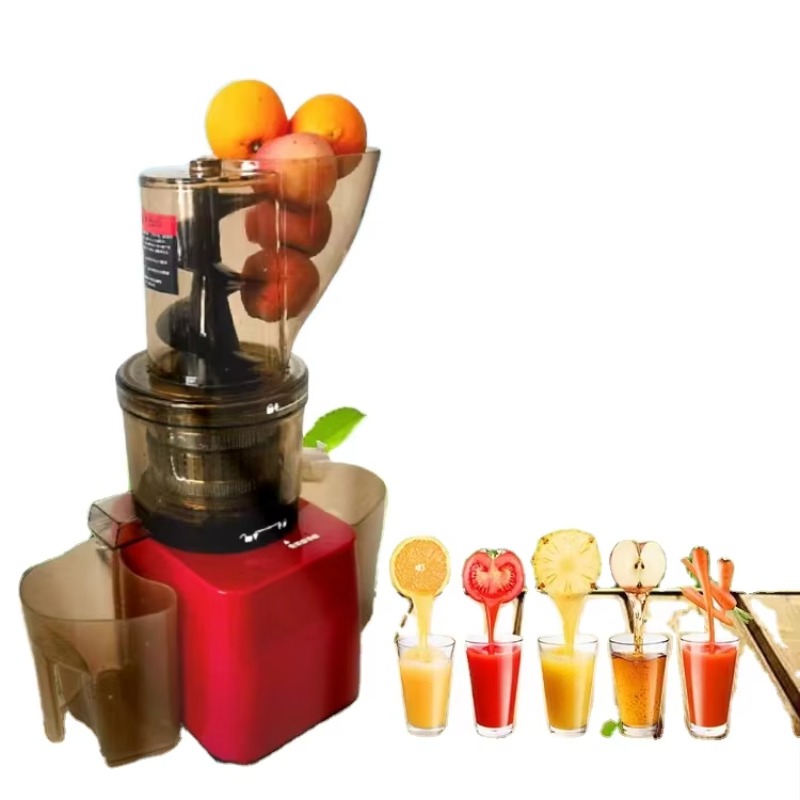 Stainless Steel Fruit Vegetabl - Cold Press Juicer recensione e prezzo