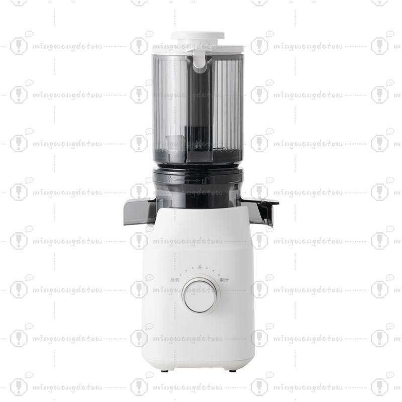 Slow Masticating Juicer with P - Cold Press Juicer recensione e prezzo