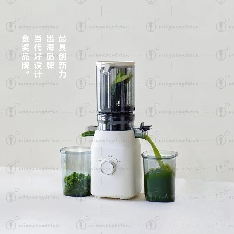 Slow Masticating Juicer with P - Cold Press Juicer recensione e prezzo
