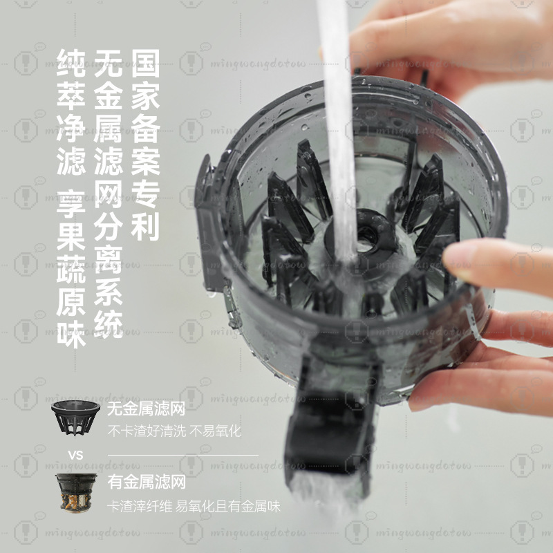 Slow Masticating Juicer with P - Cold Press Juicer recensione e prezzo