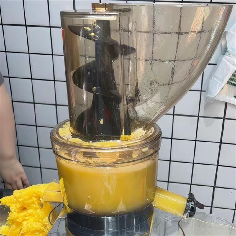 500W Commercial High Productiv - Cold Press Juicer recensione e prezzo