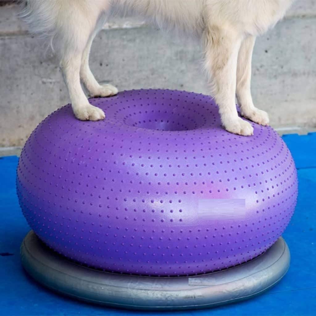 Balance Disc Cushion Dog Balan - Balance Cushion Disc recensione e prezzo