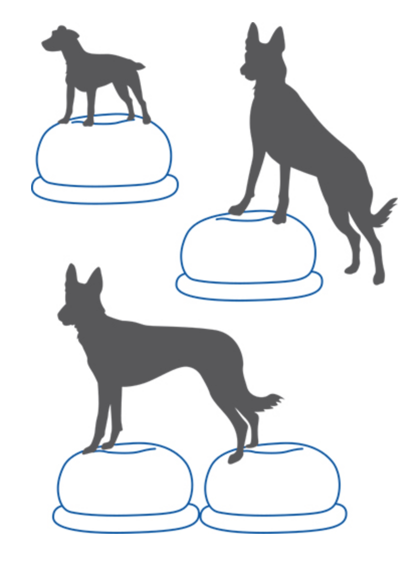 Balance Disc Cushion Dog Balan - Balance Cushion Disc recensione e prezzo