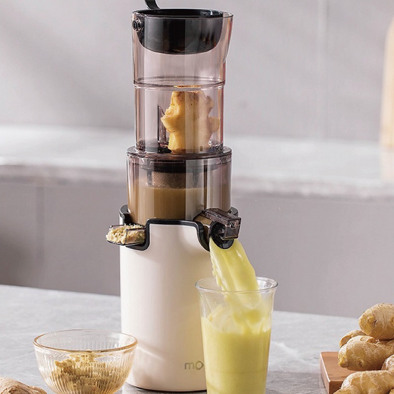 2L Low-speed Juicer Large Cali - Cold Press Juicer recensione e prezzo