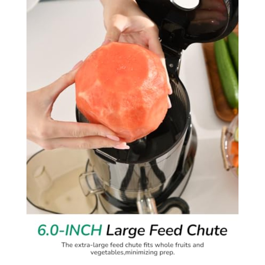 Cold Press Juicer for Home Use - Cold Press Juicer recensione e prezzo