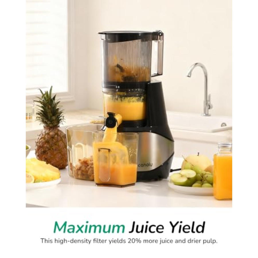 Cold Press Juicer for Home Use - Cold Press Juicer recensione e prezzo