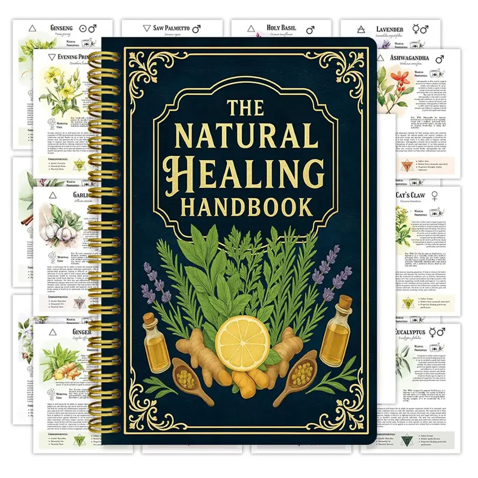 Natural Therapy Handbook, an E - Health & Wellness Pay recensione e prezzo