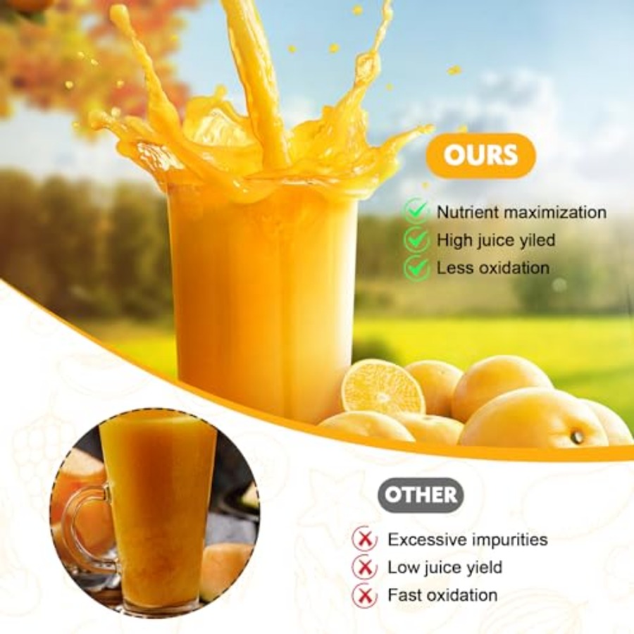 Masticating Juicer Attachment  - Cold Press Juicer recensione e prezzo