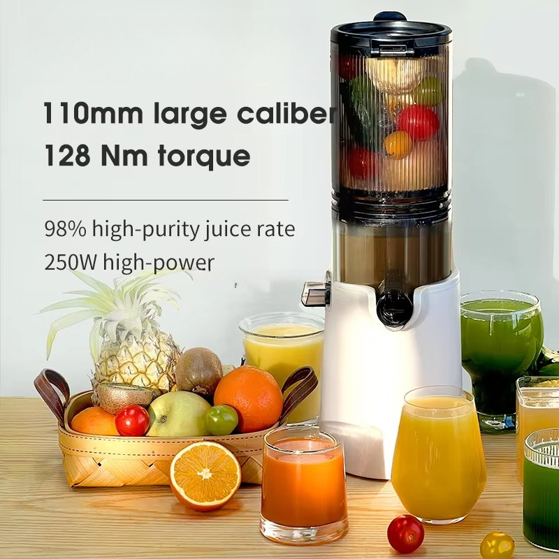 Hot Sale Big Mouth Cold Press  - Cold Press Juicer recensione e prezzo