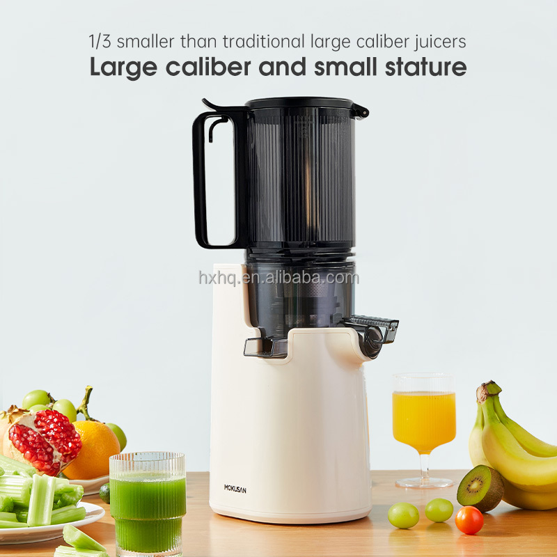 Hot Sale Big Mouth Cold Press  - Cold Press Juicer recensione e prezzo
