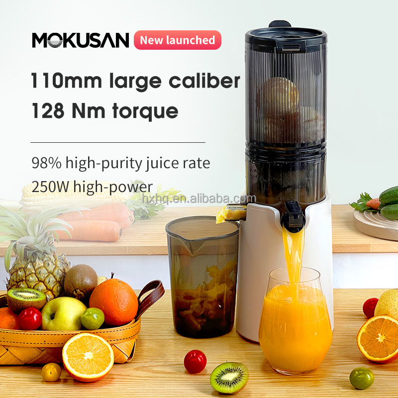 Hot Sale Big Mouth Cold Press  - Cold Press Juicer recensione e prezzo
