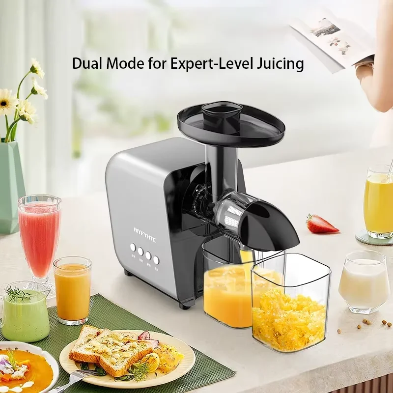 250W Slow Cold Press Fruit Jui - Cold Press Juicer recensione e prezzo