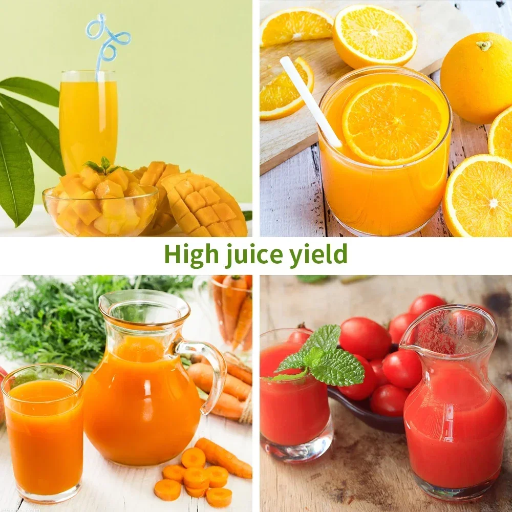 250W Slow Cold Press Fruit Jui - Cold Press Juicer recensione e prezzo
